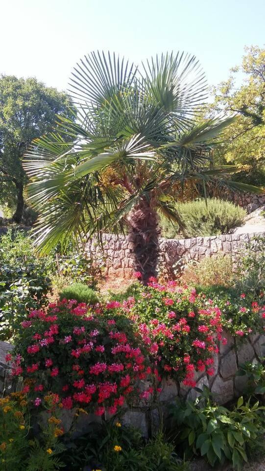 Studio Busilak Vrh  المظهر الخارجي الصورة